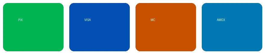 禁漫天堂支持的支付方式图标 - 包括PIX、VISA、万事达卡等